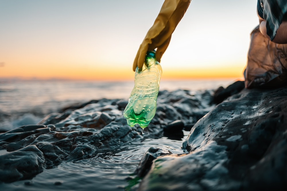 Volunteer removing a plastic bottle from OKI living shoreline